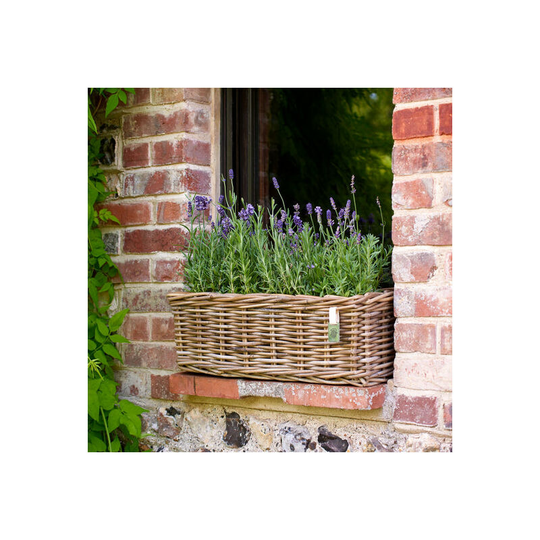 The Studley Company - Levisham Rattan Window Box Planter