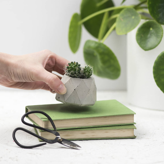 Small Geo Concrete Plant Pot