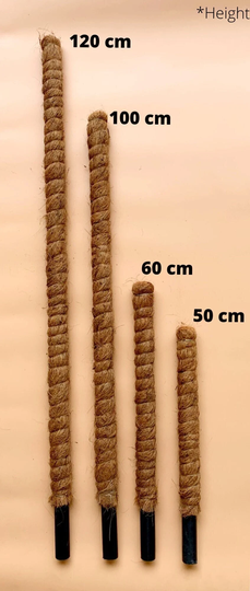 Coir Grow Poles For Climbing Plants, A Natural Plant Support | Monstera Pole Moss