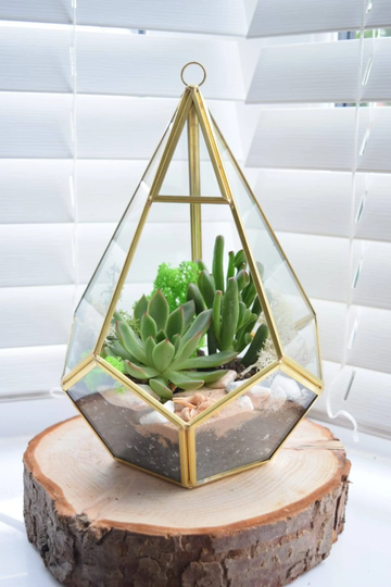 Terrarium Kit With Plants Succulent Or Cactus - 26cm Gold Lantern Terranium Terrarium- Christmas Gift Plant Gift