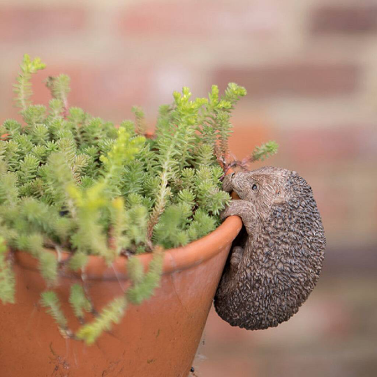 Bronze Effect Rabbit, Hedgehog, Mouse Plant Pot Hanger