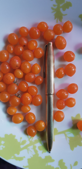 Yellow Pearl Mini Tomato 10 Fresh Seeds