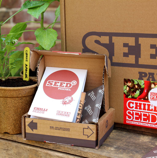Chilli Seeds Starter Pack