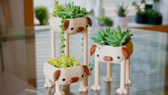 Pug Planter, Long Leg Dog Lover Decor Funny Gift, Pet Puppy Pot Best Friend Animal Curly Tail, Office Desk Doggo With Legs Lol