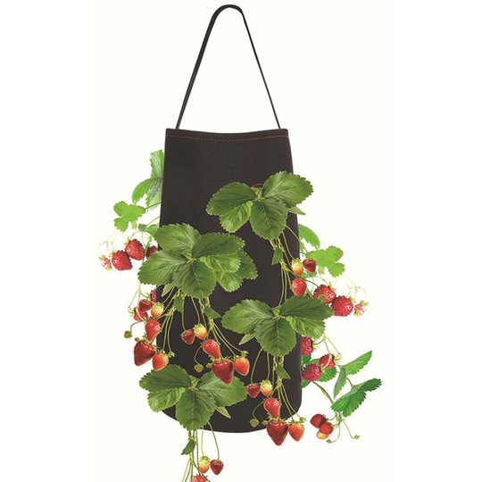 15 x 9 Inch Strawberry Grow Bags with 8 Grow Holes Hanging Planter Box Vegetable Grow Bag Breathable Vegetable Flower Growing Bag with Handles,Black