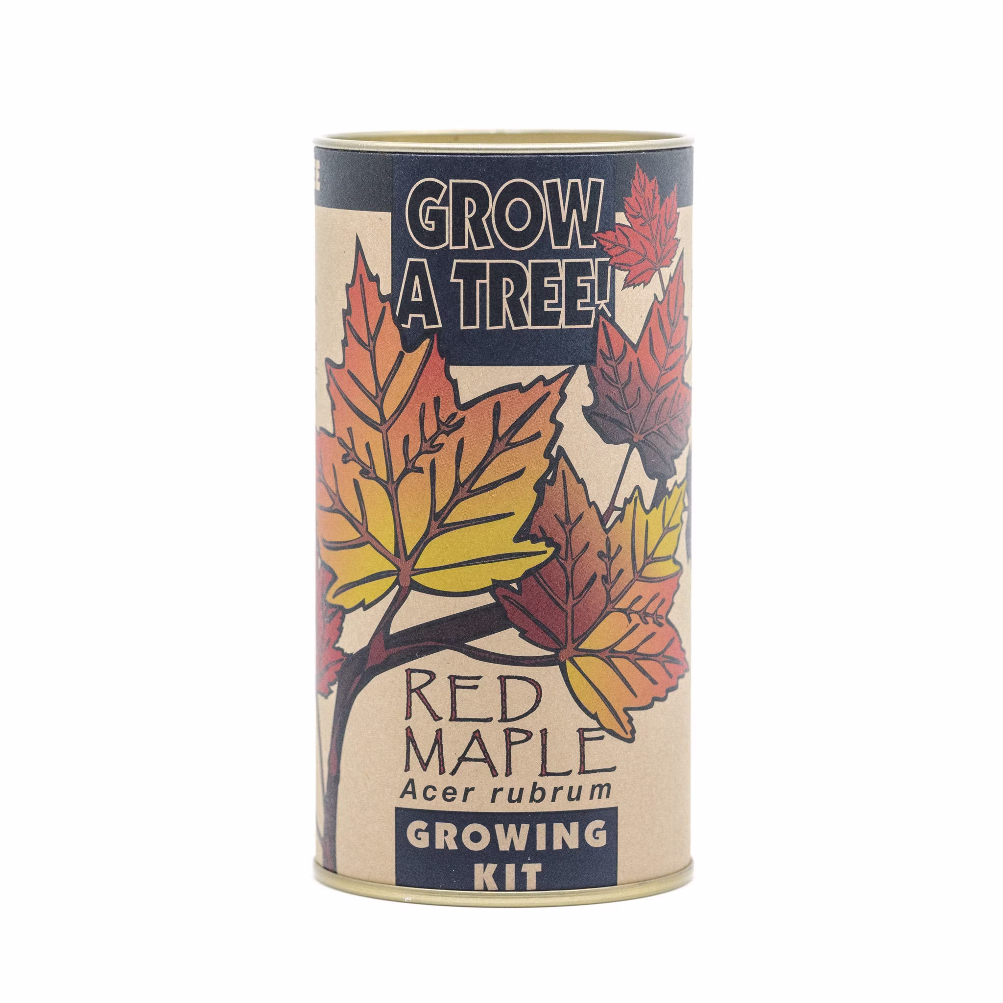 Red Maple | Tree Seed Grow Kit The Jonsteen Company