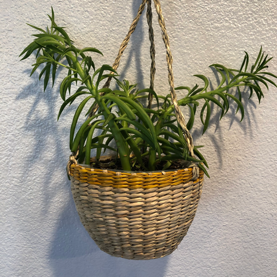 Hand Woven Hanging Seagrass Basket With Plastic Liner