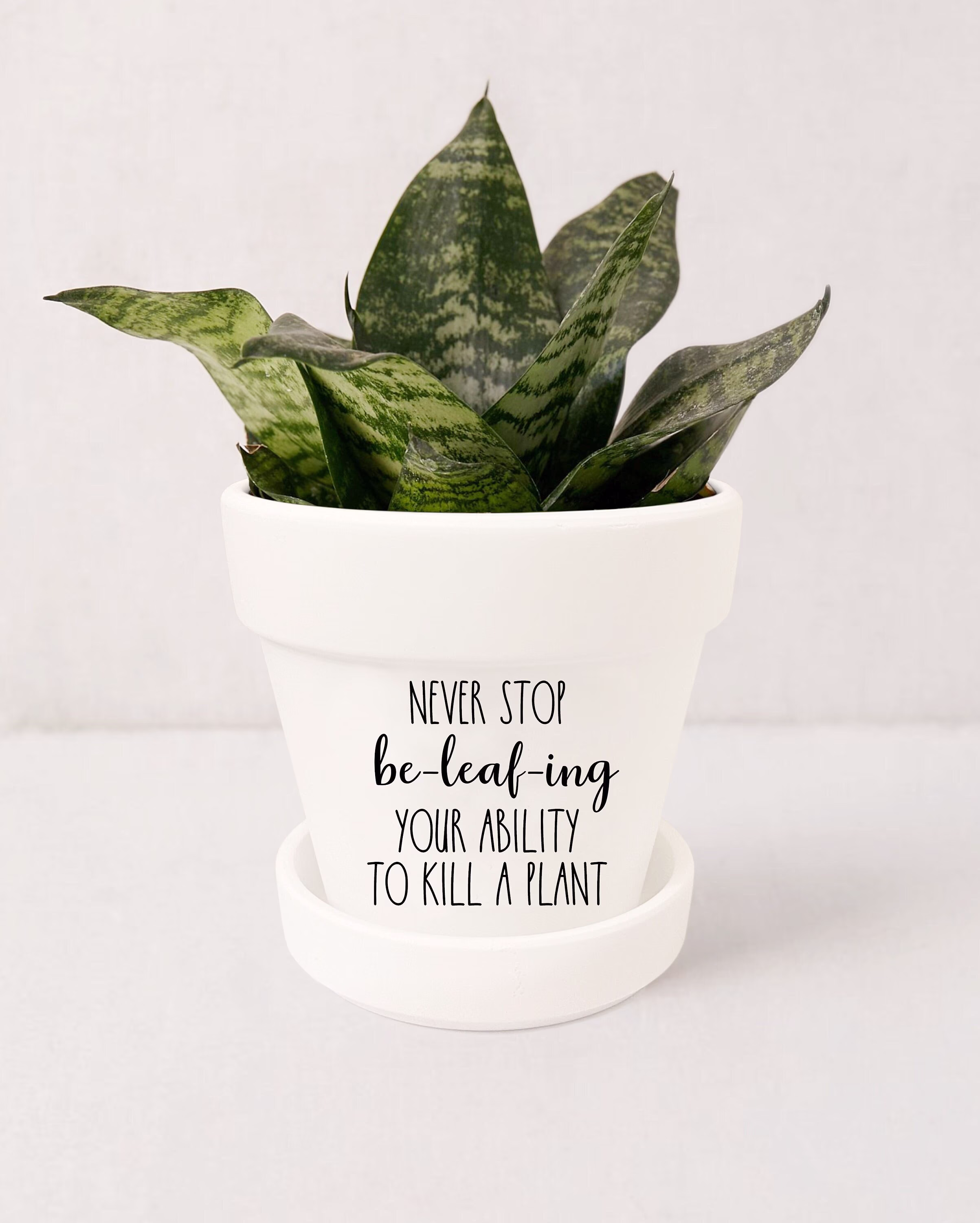 Funny Pots For Plants | Inspirational Gifts Indoor Succulent Planter Her Plant Pot with Saucer Not Included | White