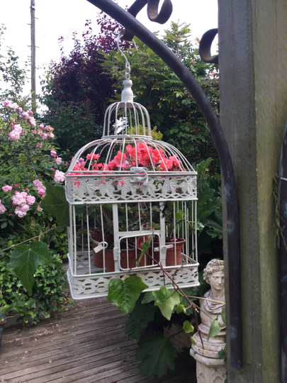 Pair Vintage Cream Birdcages For Hanging Baskets