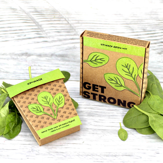 Get Strong Spinach Grow Pot Kit