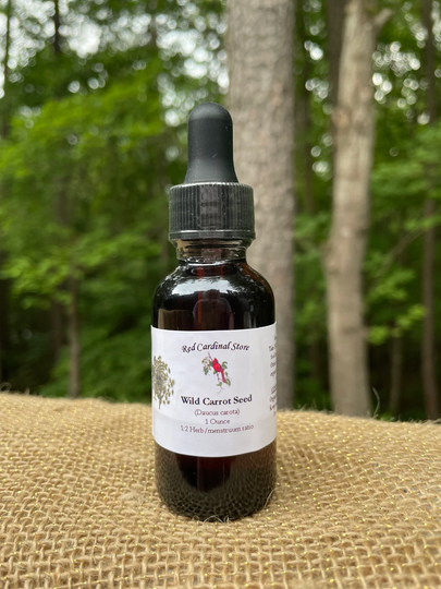 Wild Carrot Seed | Queen Anne's Lace Tincture Herb Extract Double Extraction