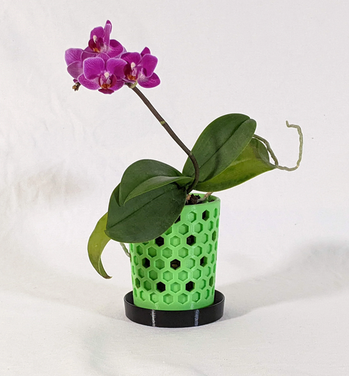 Honeycomb Orchid Pot - Small
