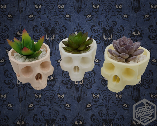 Skull Hanging Succulent Planter/Bowl