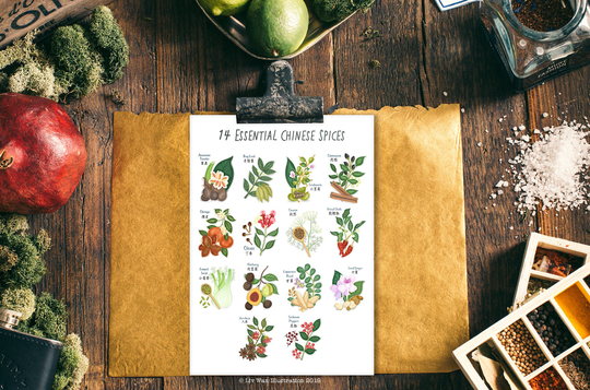 Herbs Wall Art Chinese Spices Illustration Postcard Mini Print