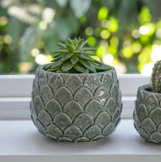Artichoke Planters