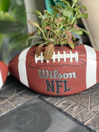 Nfl Lifeball | Horizontal