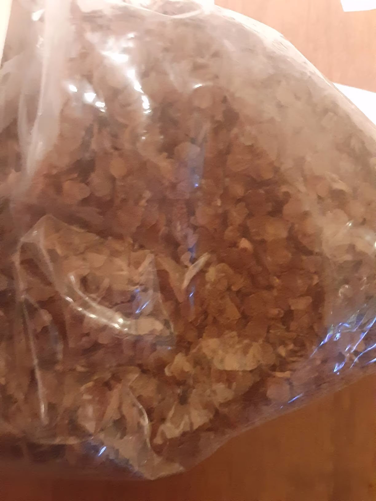 Water Birch Tree Seeds