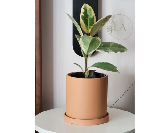 Mid Century Modern Style Ceramic Planter Pot with Drainage Hole & Saucer, Boho Minimalist [Lovely A'bode, 6.7 Inch Pot] Dark Orange
