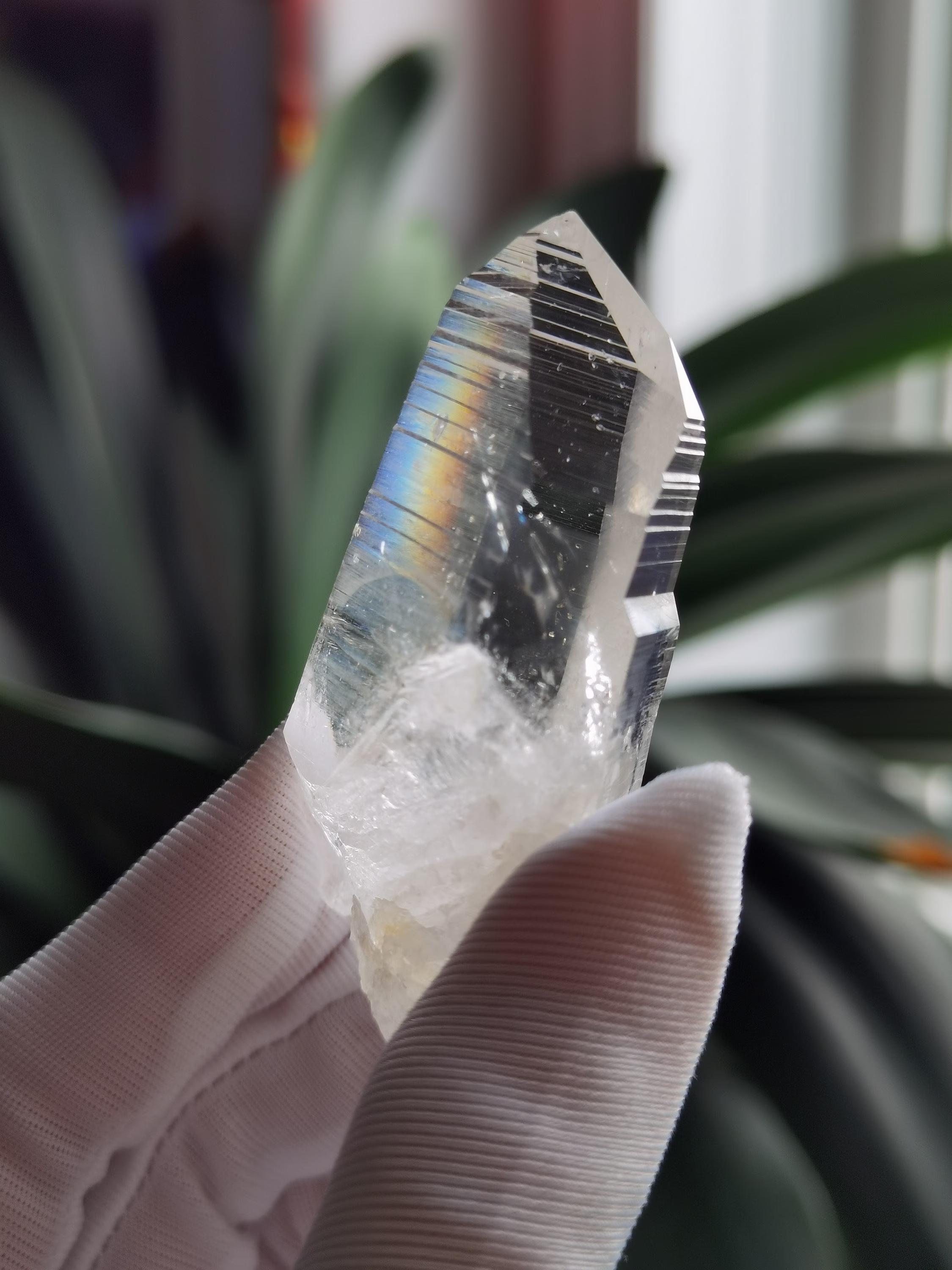 Columbian Lemurian Seed Crystal/Channeling Quartz/Inner Child/Powerful Healing Crystal/Meditation - 47G