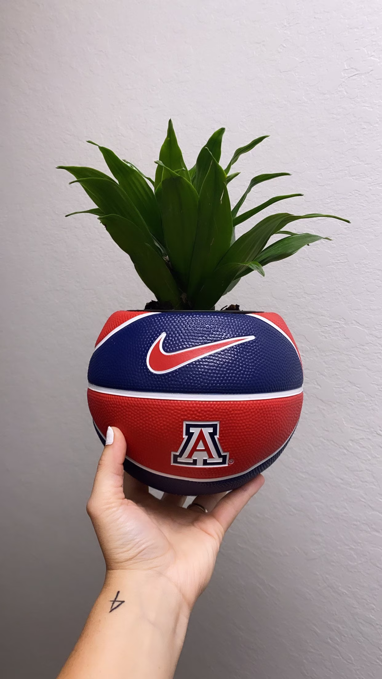 Arizona Wildcats Nike Basketball Planter/Indoor Mini Size