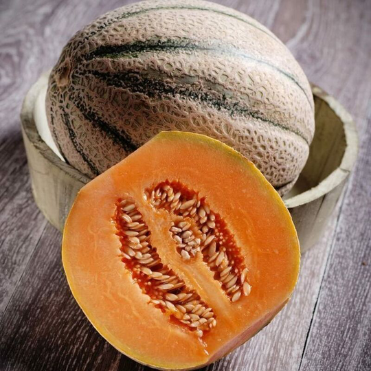 Fruit Seeds, Melon - Minimum 300 seeds per pack.