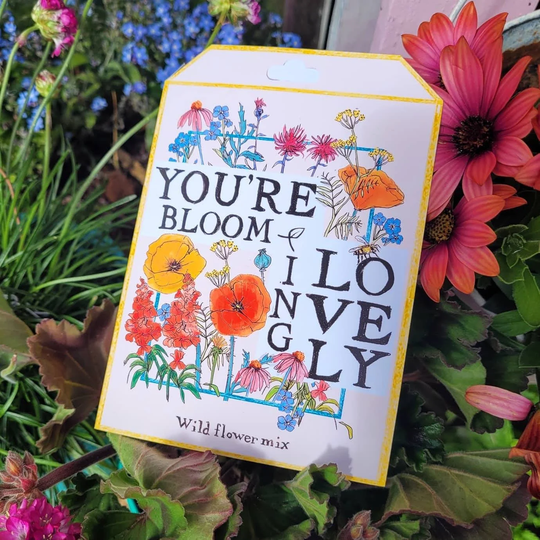 Wildflower Seed Packet Greeting Card | Seed Assortment in Each Card