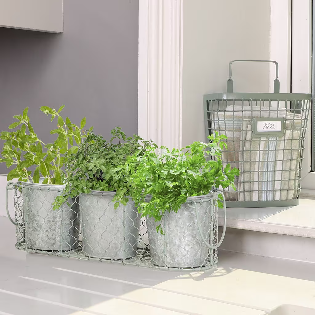 Sage Green Kitchen Collection Windowsill Set Of 3 Herb Basket Planters On Fitted Tray & Wall Mounted Storage Organiser