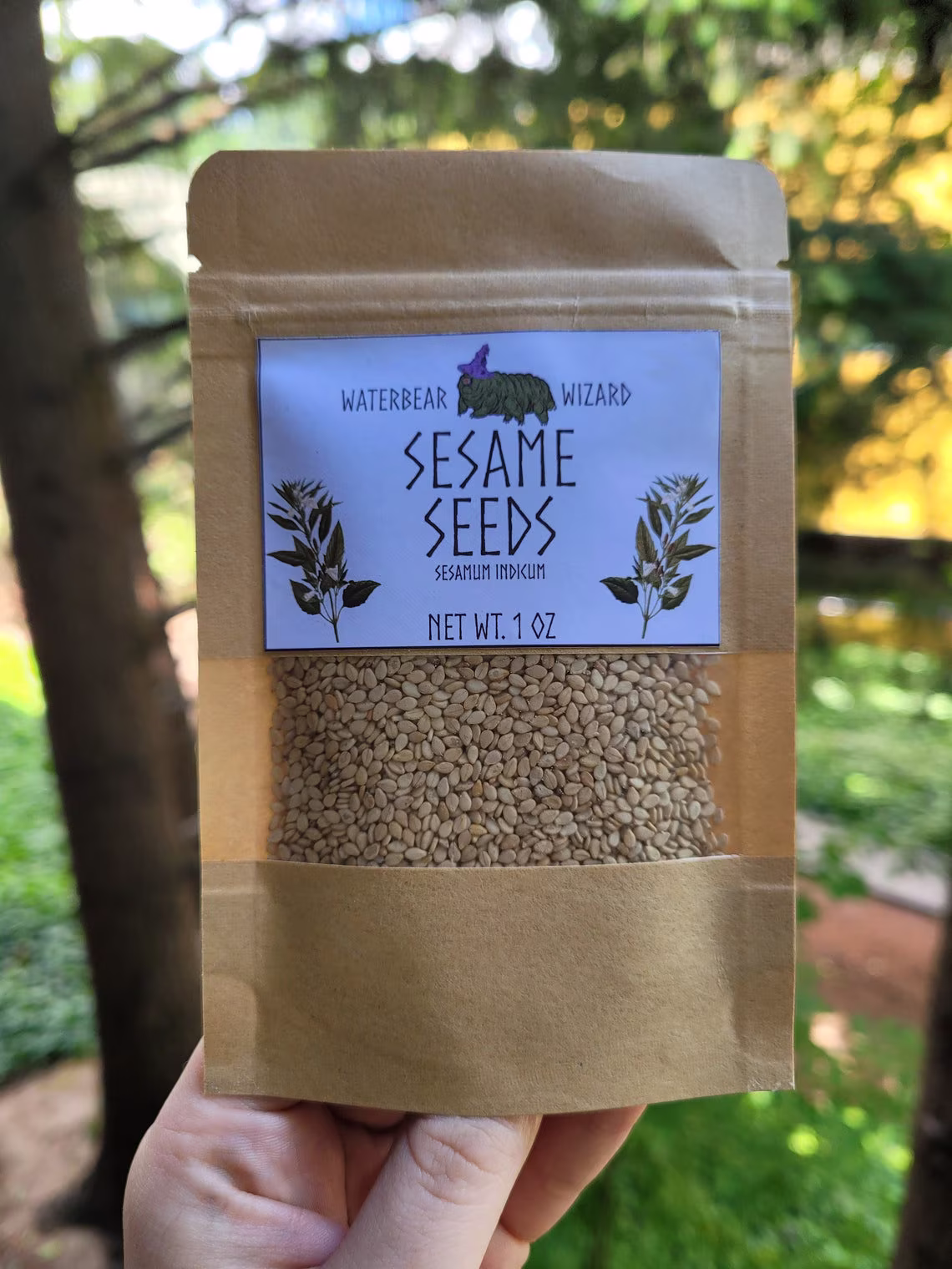 Organic Sesame Seeds Natural Whole - 1Oz