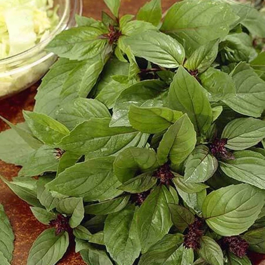 Basil Mexican Spice Cinnamon Seeds Open-Pollinating Non Gmo For Planting | 204733