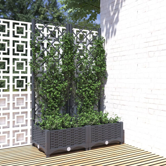 Asupermall - Garden Planter with Trellis Dark Grey 80x40x121.5 cm pp