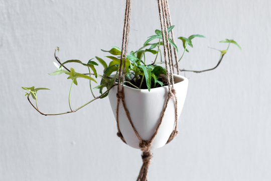 Hanging Macrame Planter, Small Succulent White Square Macramé Ceramic Pot