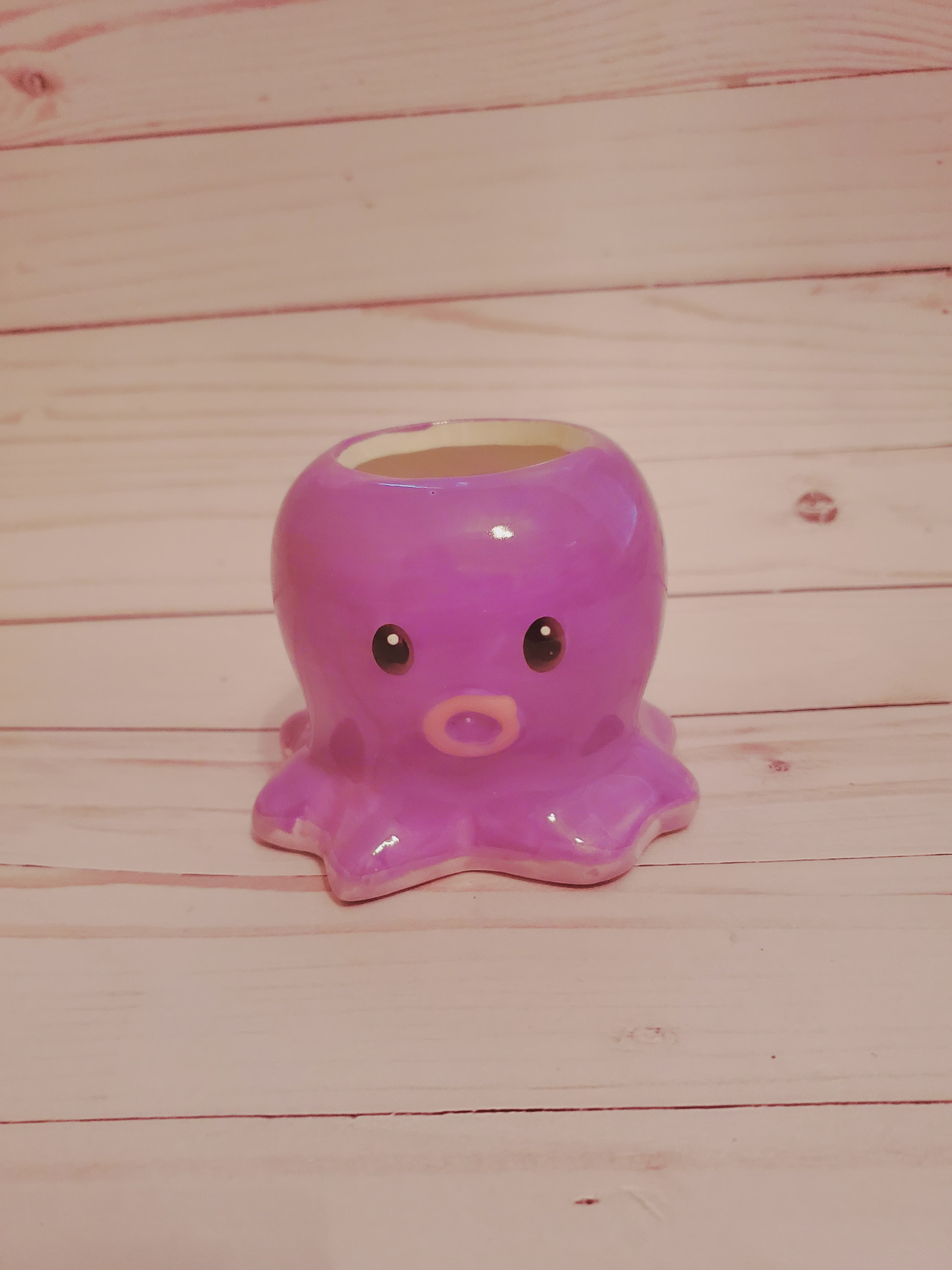 Mini Ocean Animal Planters