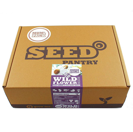 Wild Flower Seeds Starter Kit