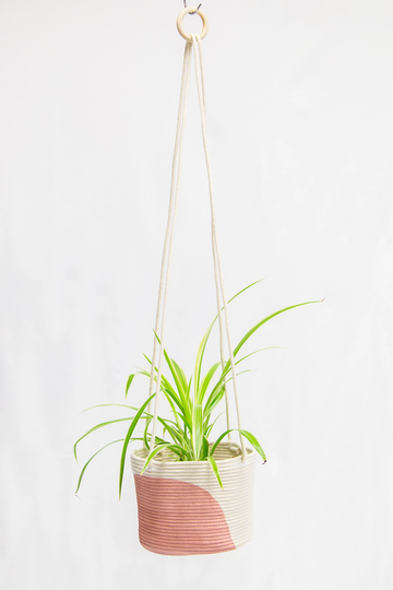 Hanging Planter, Curved Colour Block, Plant Hanger, Painted Hanging Plants, For Indoor Macrame