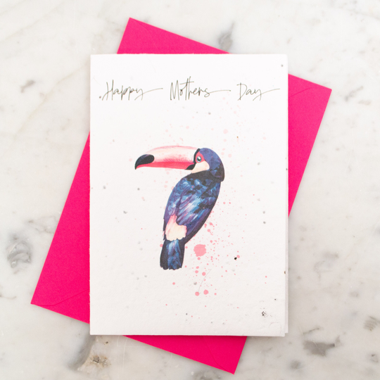 Mothers Day Plantable Seed Paper Toucan Card, Eco Growable Seedpaper Watercolour Bird Card