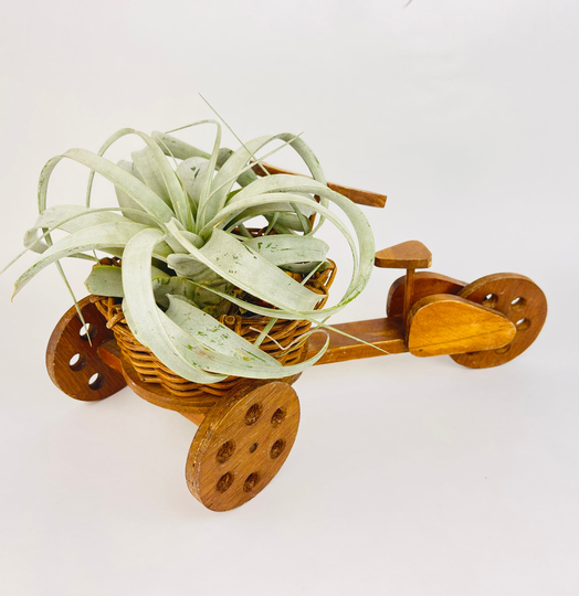Vintage Tricycle/Bicycle Planter - Moveable Wheels + Turning Handle Wicker Wood Carnival Glass Bowl