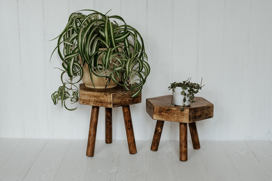 Hexagonal Plant Pot Stand Pair