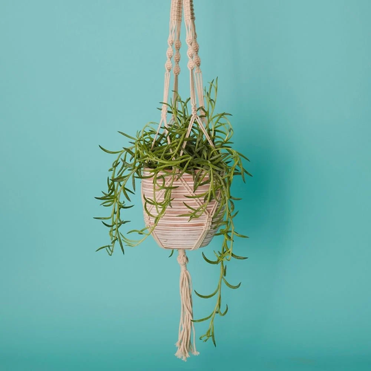 Bangladesh Medium Rustic Terracotta Pot & Macrame Hanging Set