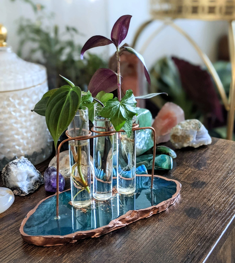 Propagation Station