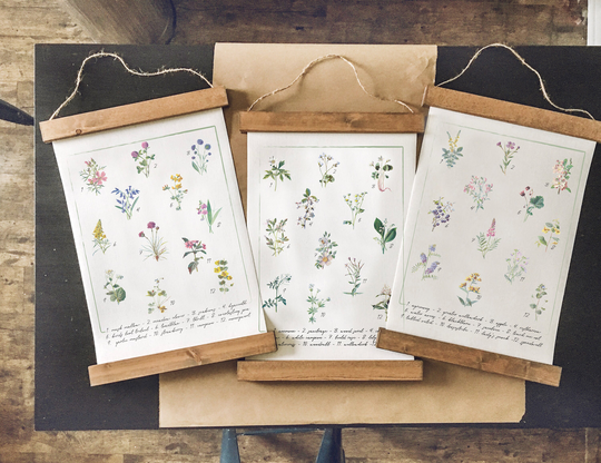 Botanical Charts Set Of 3/Botanical Set/Botanical Wall Art/Canvas Art Print/Wall Art/Home Decor