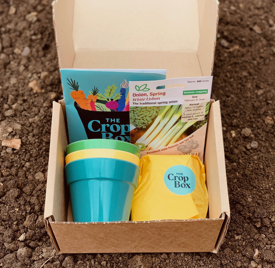 Grow Your Own Spring Onions Kit For Children