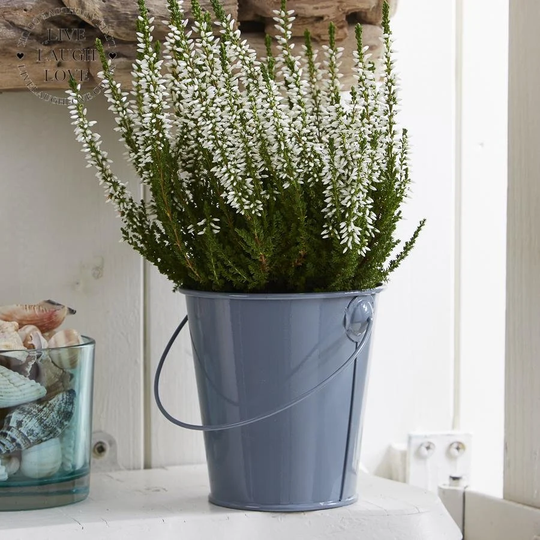 Small Painted Grey Metal Bucket/Planter