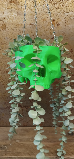 3D Printed Hanging Skull Pot, Rainbow