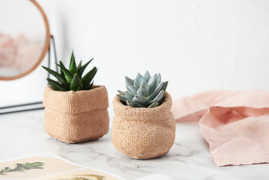 Paper Bag Plant Pot Cast in Concrete, Perfect For Indoor Or Outdoor Use. Brown Bag Cacti Pot