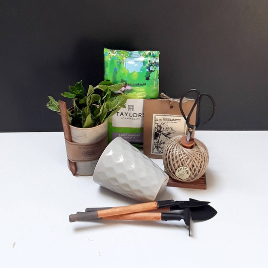 Grow Your Own Coffee Garden Gift