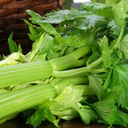 Vegetable Seeds, Celery - Golden Self Blanching, 3000 Seeds Minimum Per Packet.