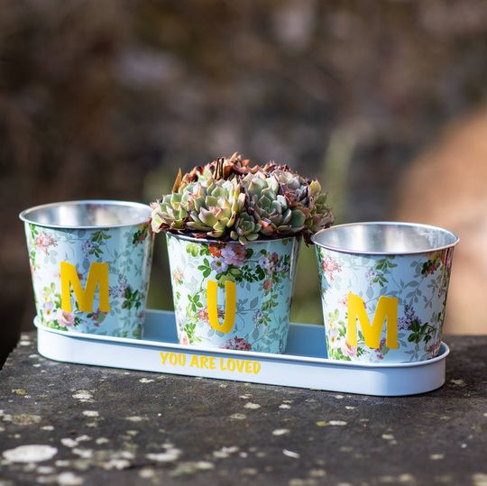 Floral Personalised Trio Of Planters