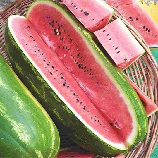 Watermelon Tirazis Seeds Heirloom Non Gmo For Planting | 204731