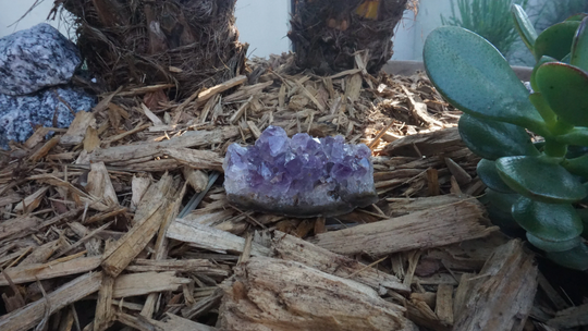 Amethyst Geode #424 | Crystals Deep Purple Gemstone Chakra Stones Wicca Witchcraft Collectable Metaphysical
