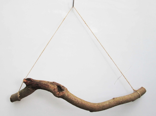 50cm Thick Gnarly Knotty Twisted Beech Or Oak Natural Tree Branch Stick Hanging Herb Rack